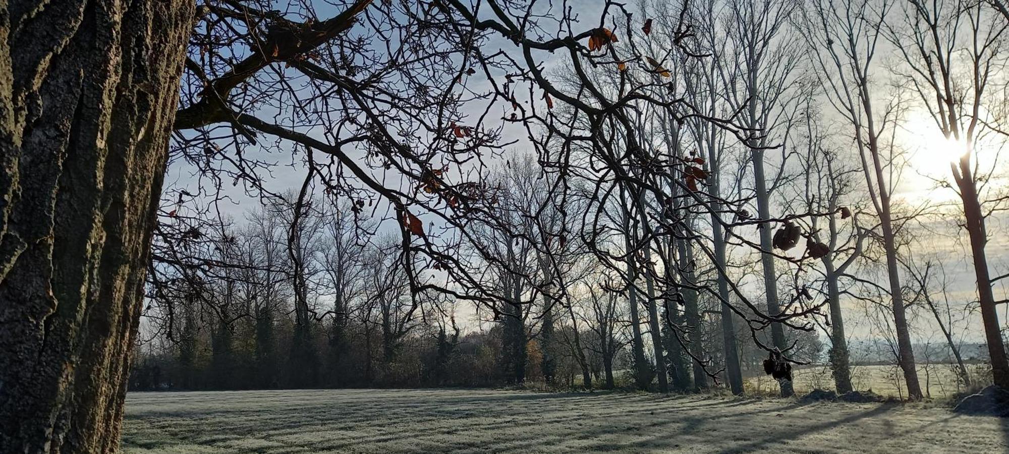 Hermelgemhoeve - Zonnebloem Zwalm Eksteriør bilde