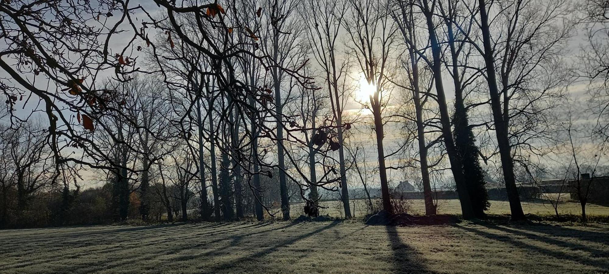 Hermelgemhoeve - Zonnebloem Zwalm Eksteriør bilde